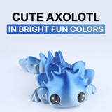 Cute Axolotl Fidget Toy