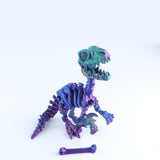 Raptor Skeleton Fidget Toy