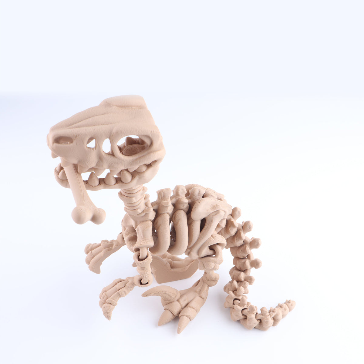 Raptor Skeleton Fidget Toy